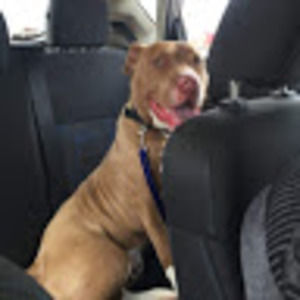 Meet your Posher, Sandra